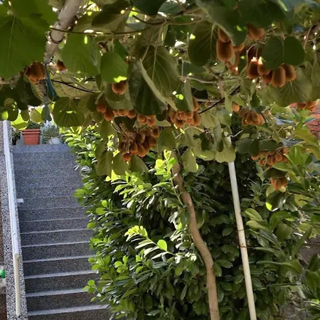 F Apartment Podgorica